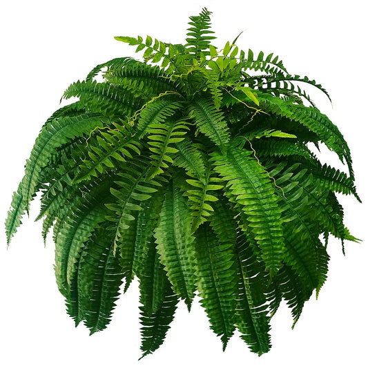RYNX | Resilient, Life-Like Artificial Boston Fern