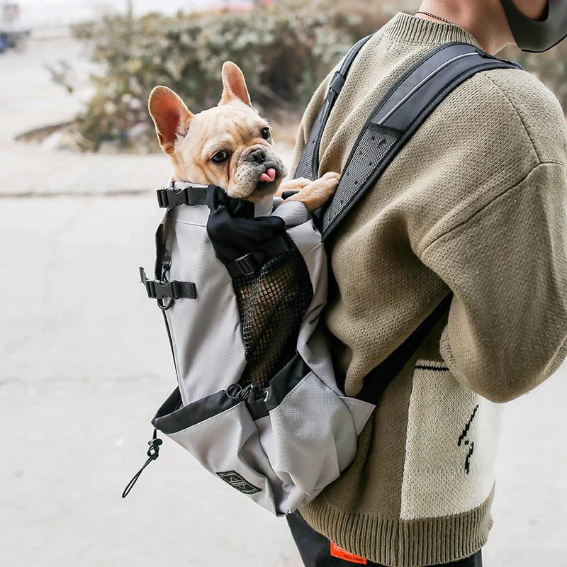 RYNX | Multifunctional Dog Backpack Gray