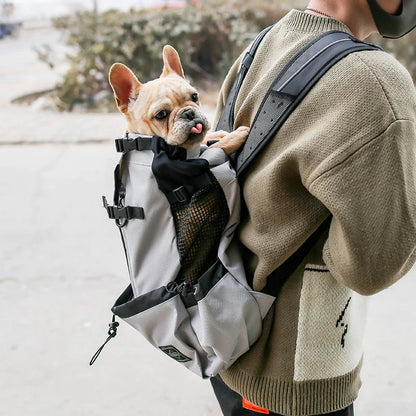 RYNX | Multifunctional Dog Backpack Gray