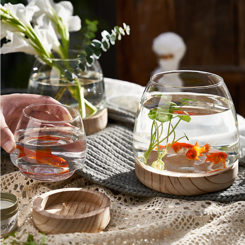 Rynx | Elegant Glass Desktop Fish Tank