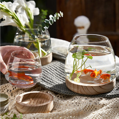 Rynx | Elegant Glass Desktop Fish Tank