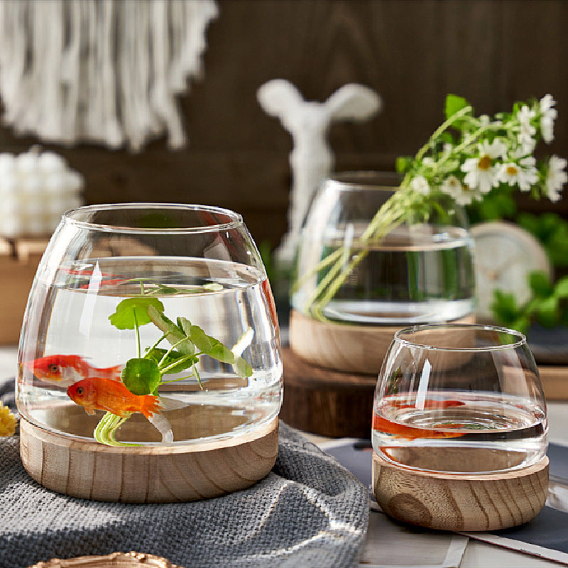 Rynx | Elegant Glass Desktop Fish Tank