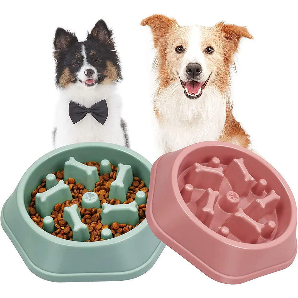 Rynx | Slow Feeder Dog Bowl