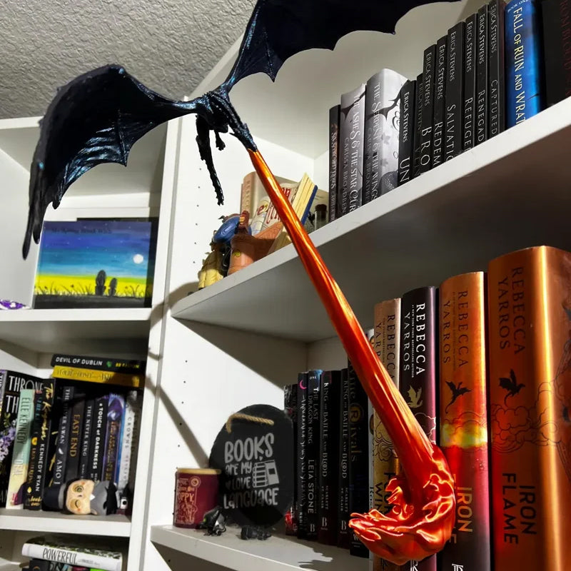 RYNX | Dragon Flame Book Nook
