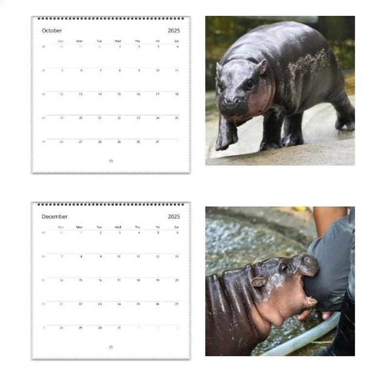 Rynx | Moo Deng Calendar | Calendar 2025