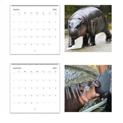 Rynx | Moo Deng Calendar | Calendar 2025