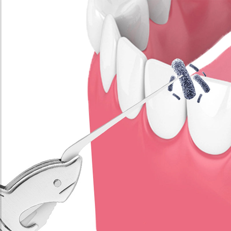 Rynx | Dolphin Toothpick made of Stainless Steel