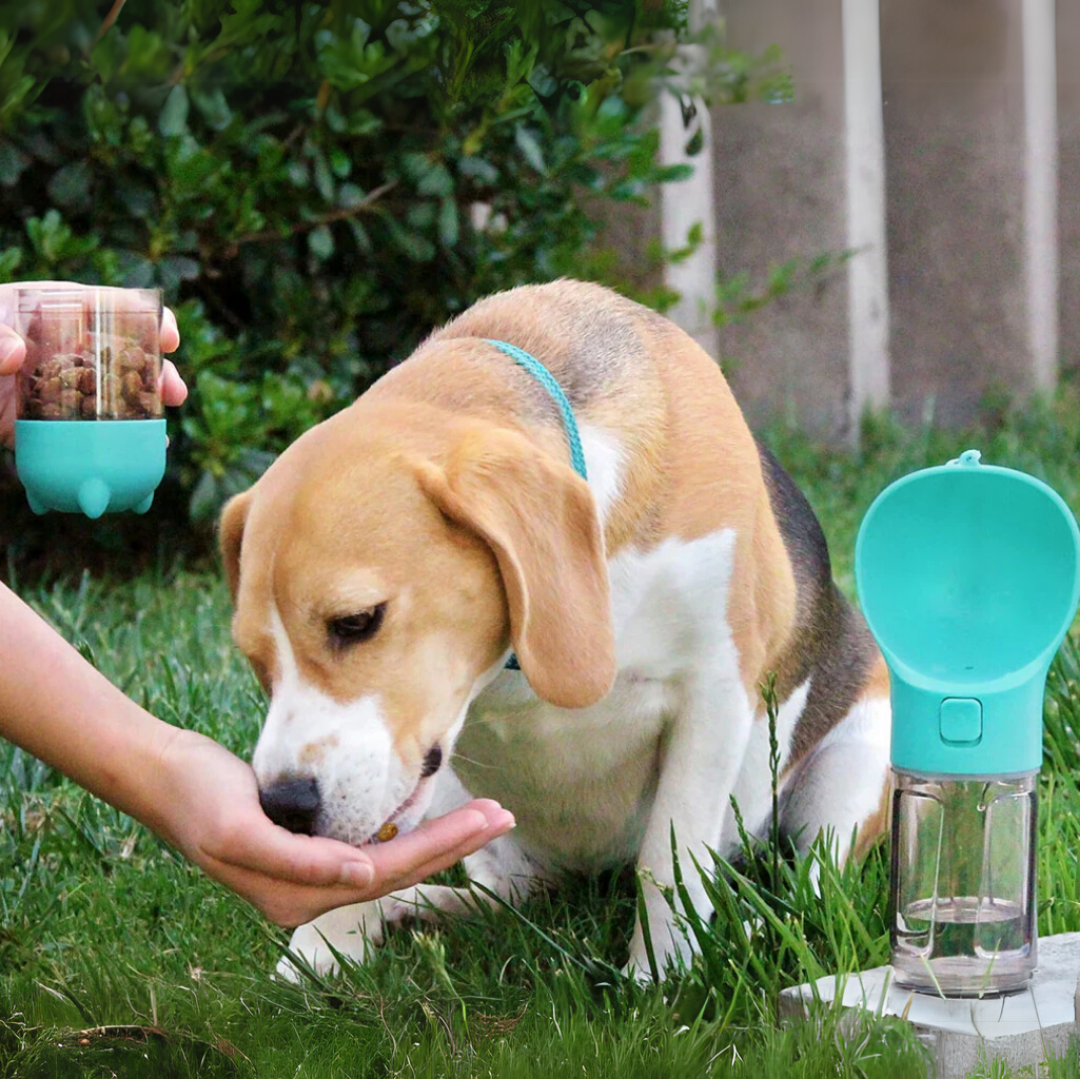 Rynx | Floky - The all-in-one solution for adventures with your dog!