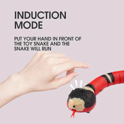 Rynx | Electric Induction Rechargeable Cat Toy - Automatic Funny Snake for Cats & Dogs