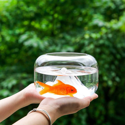 Rynx | Mini Glass Fish Bowl