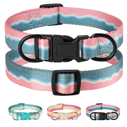 Rynx | Adjustable Nylon Dog Collar