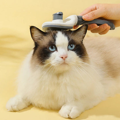 Rynx | Self-Cleaning Pet Grooming Brush for Cats and Dogs