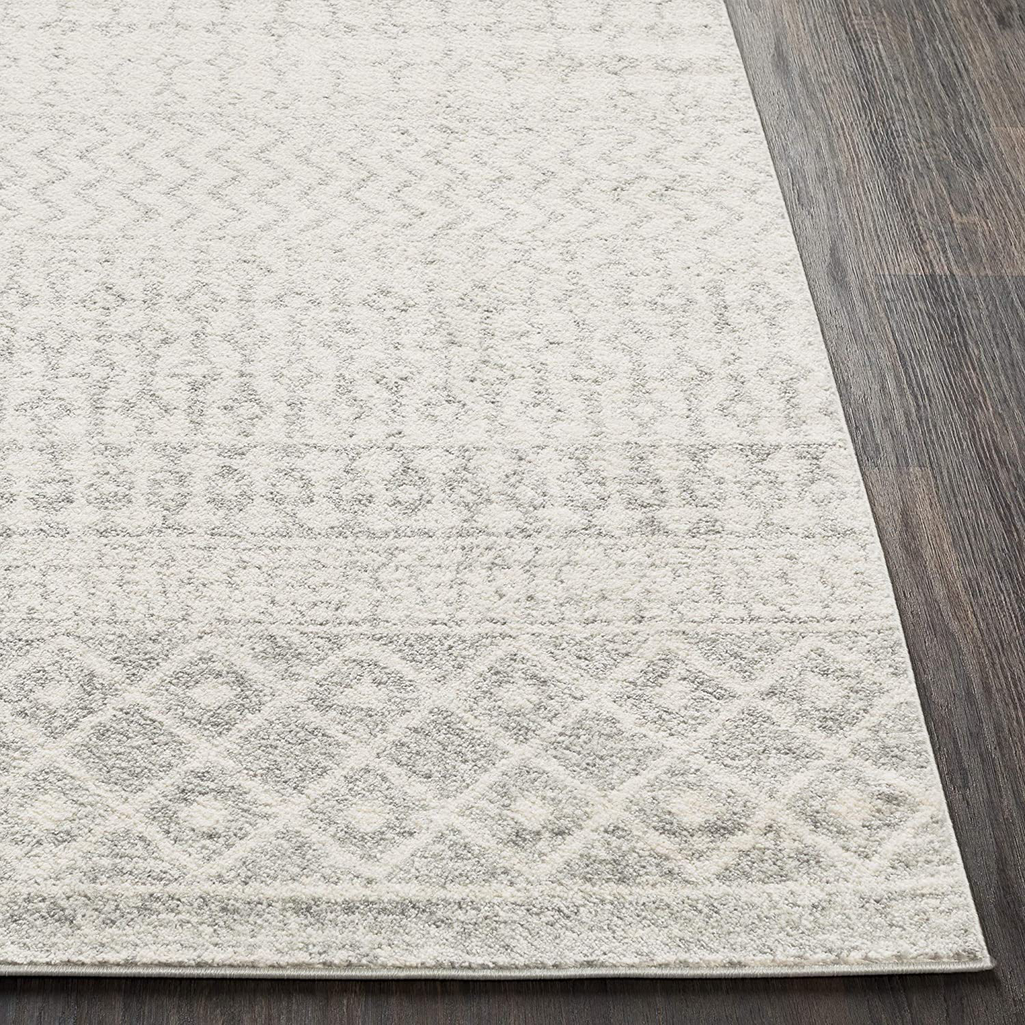 Rynx | Artistic Weavers Chester Gray Area Rug, 2'7" x 10'