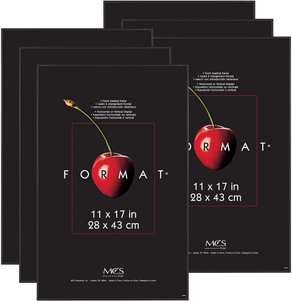Rynx | Mcs 11x17 Inches Format, White Frames, 11 X 17