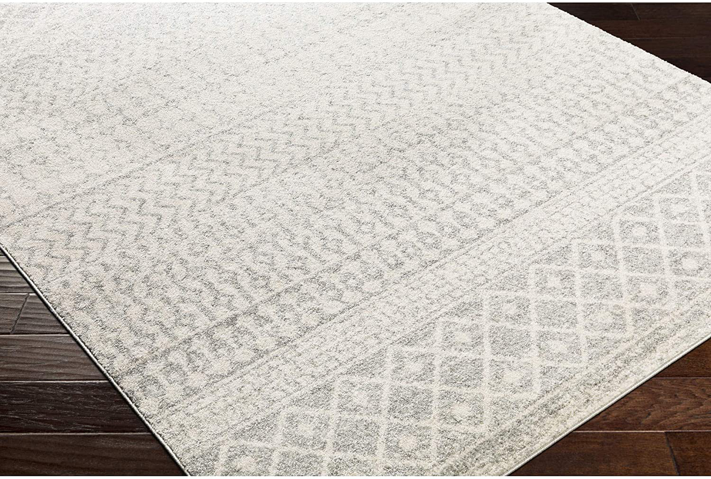 Rynx | Artistic Weavers Chester Gray Area Rug, 2'7" x 10'