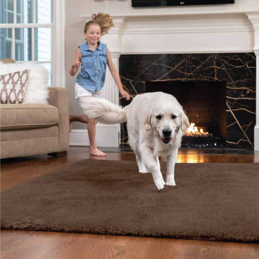 Rynx | Gorilla Grip Original Ultra Soft Area Rug, 3x5 FT, Many Colors, Luxury Shag Rugs, Light Indoor Washable Rugs for Kids' Rooms, Plush Home Decor for Living Room Floor, Kids' Room, Bedroom, Brown
