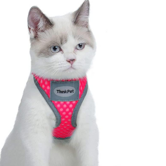 Rynx | Reflective Breathable Soft Air Mesh No Pull Harness For Cats And Dogs