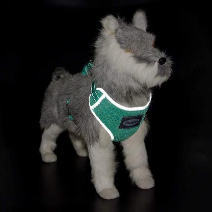 Rynx | Reflective Breathable Soft Air Mesh No Pull Harness For Cats And Dogs