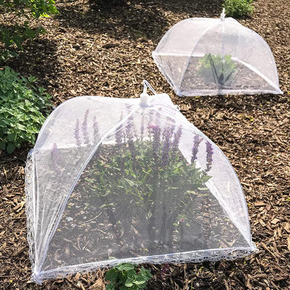 Rynx | Simply Genius (6 pack) Large and Tall 17x17 Pop-Up Mesh Food Covers Tent Umbrella for Outdoors, Screen Tents, Parties Picnics, BBQs, Reusable and Collapsible