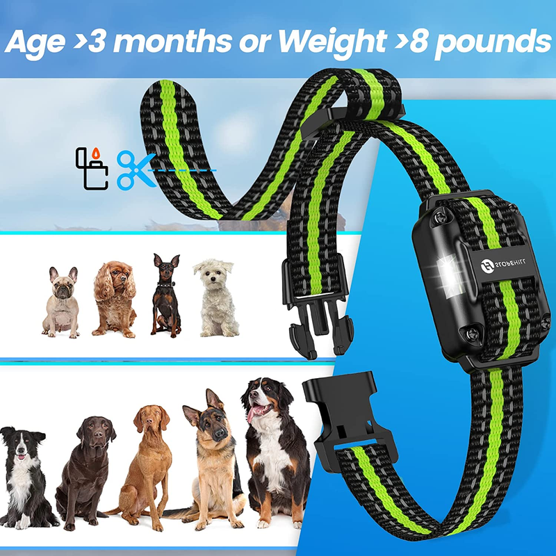 Rynx | Dog training collar with 7 training modes, 2600 feet remote control electronic dog shock collar