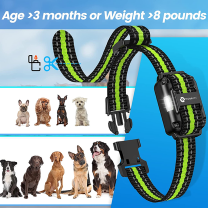 Rynx | Dog training collar with 7 training modes, 2600 feet remote control electronic dog shock collar