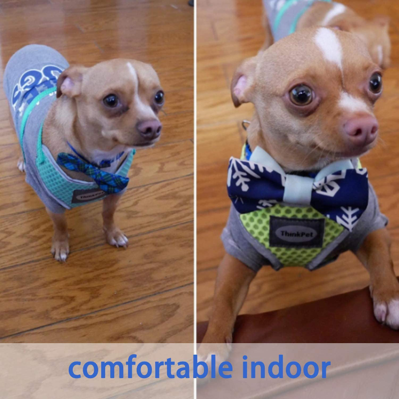 Rynx | Reflective Breathable Soft Air Mesh No Pull Harness For Cats And Dogs