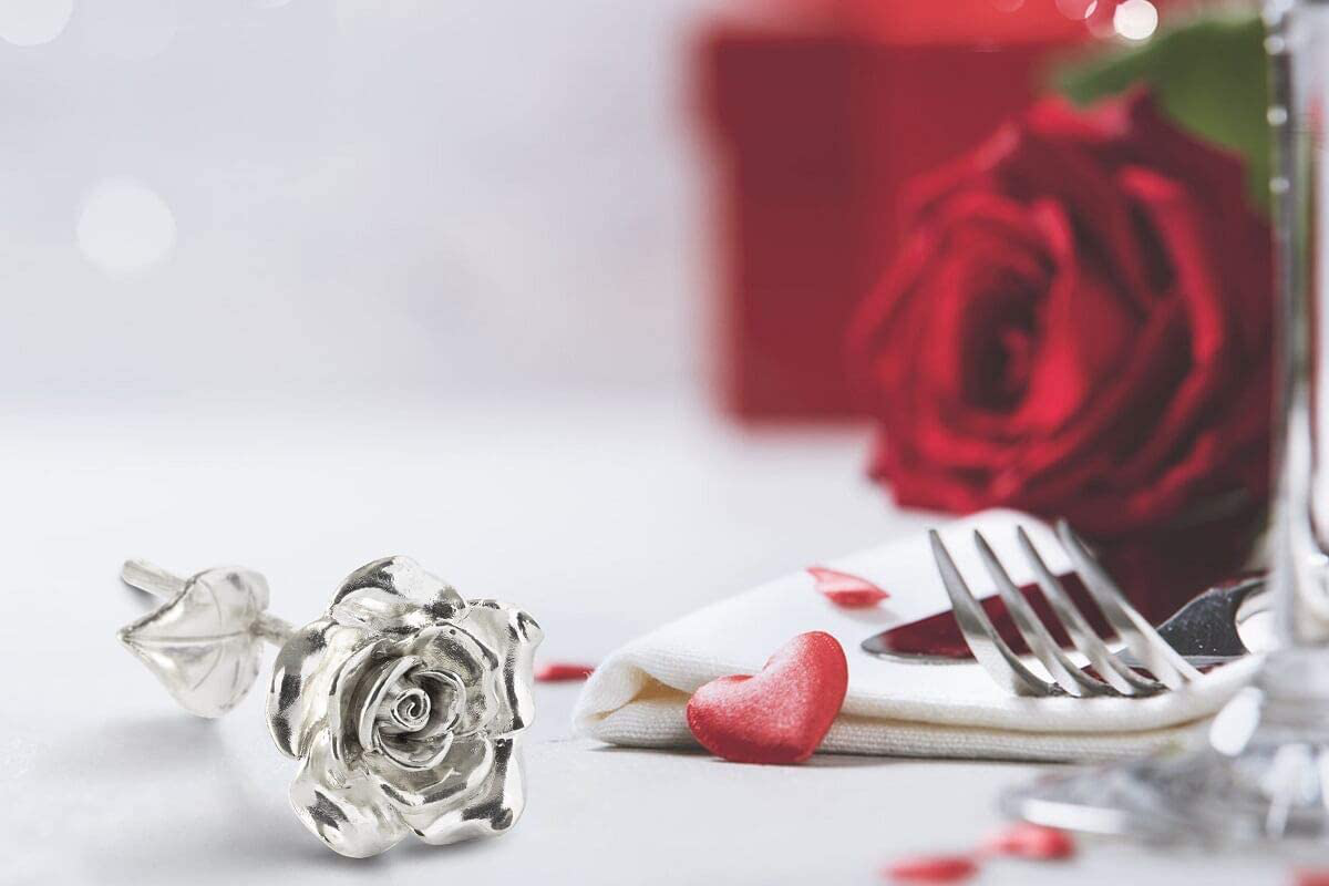 Rynx | BESZONE Tin Rose 10th for Her - Gifts made of tin for 10th wedding anniversary, Solid 100% pure cast tin eternal rose aluminum gift for wife tenth tin
