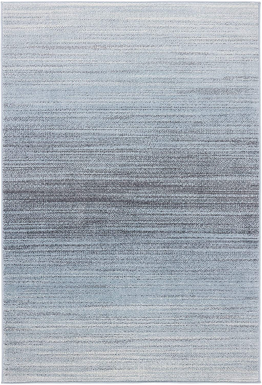 Rynx | Safavieh Adirondack Collection Adr142g Modern Ombre Accent Rug, 2'6" X 4', Gray / Light Gray