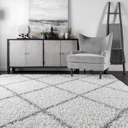Rynx | nuLOOM Tess Cozy Soft & Plush Modern Accent Rug, 2' x 3', White