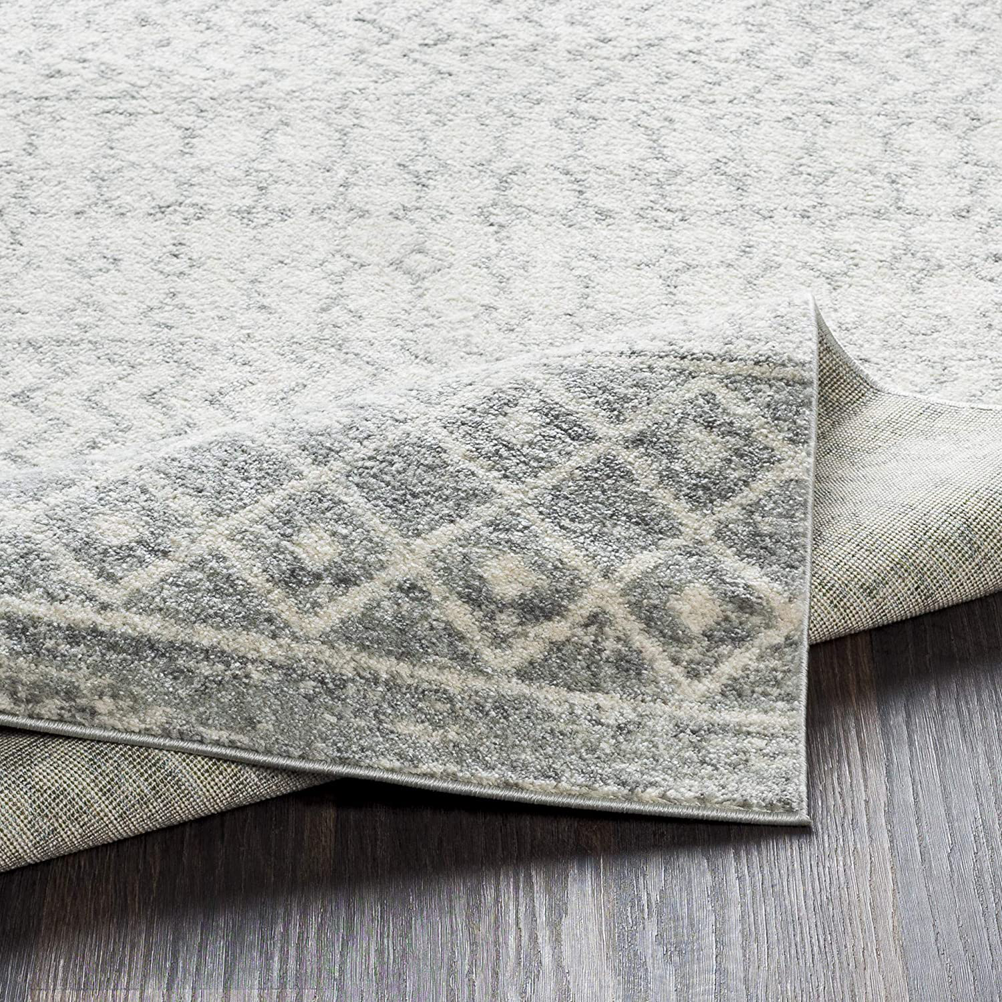 Rynx | Artistic Weavers Chester Gray Area Rug, 2'7" x 10'