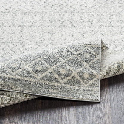 Rynx | Artistic Weavers Chester Gray Area Rug, 2'7" x 10'