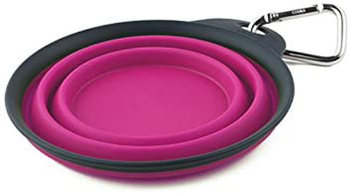 Rynx | Dexas Pets Collapsible Travel Mug