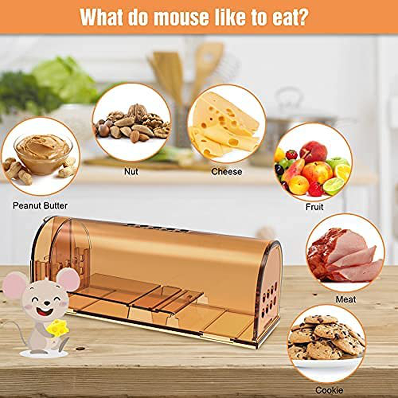 Rynx | 4 Pack Humane Mouse Traps No Kill, Live Mouse Trap, Reusable Mouse Trap for Home and Outdoors