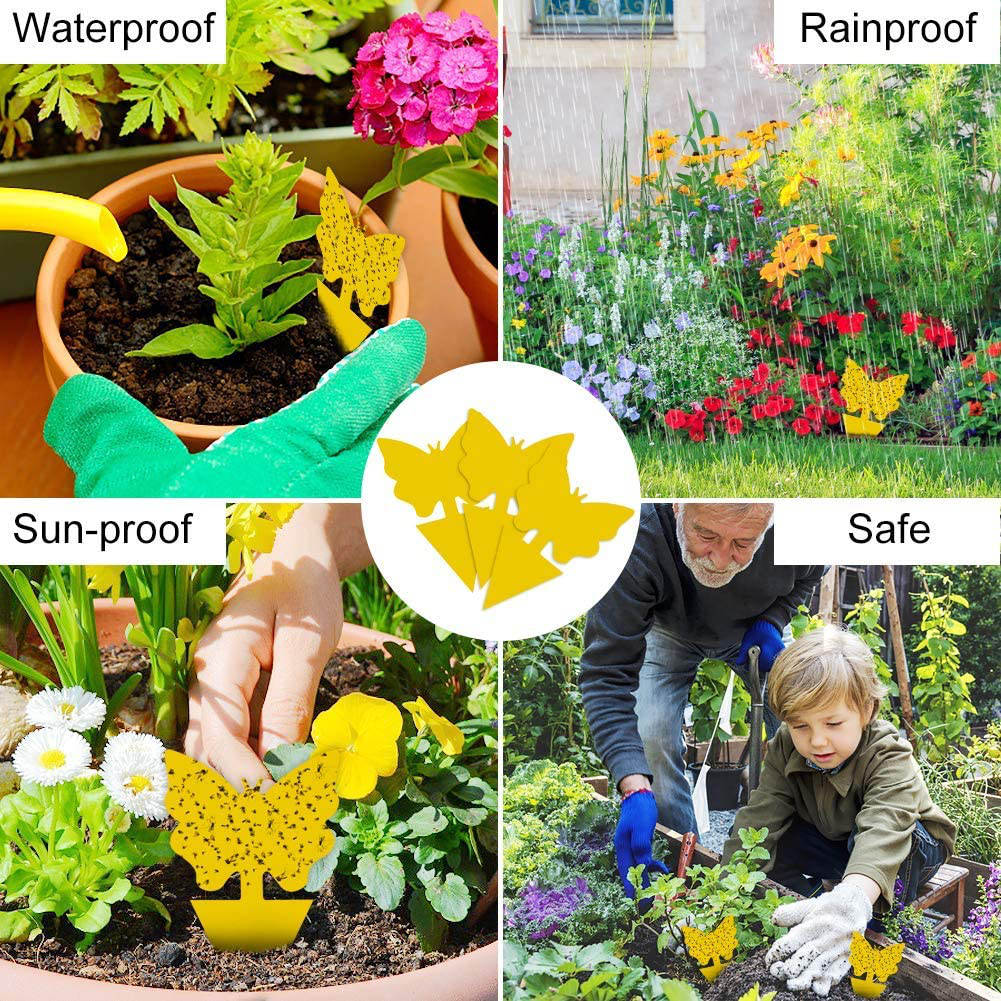 Rynx | 24 Pack Sticky Fruit Fly and Fungus Gnat Trap Yellow Sticky Bug Insect Killer for Indoor and Outdoor Houseplants