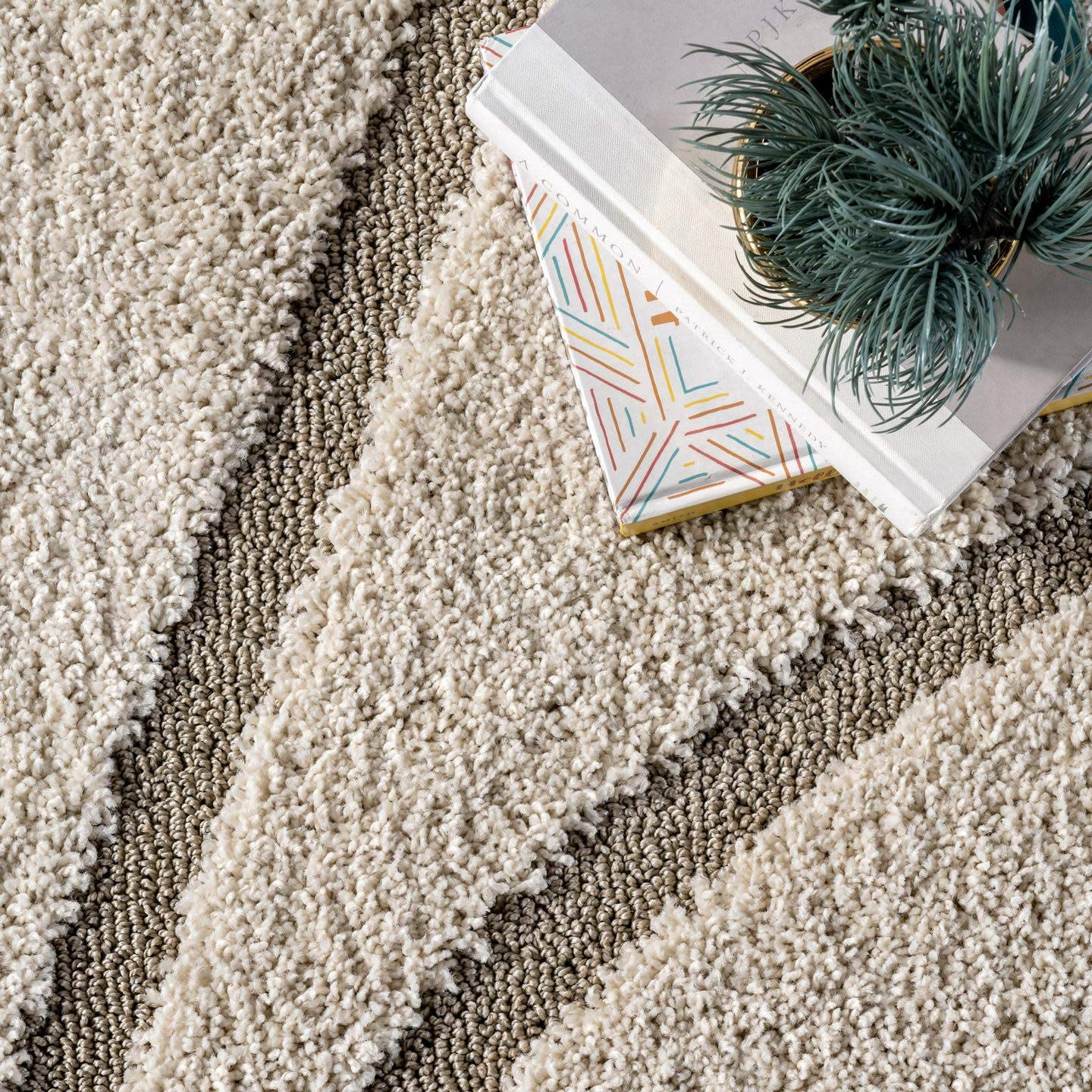 Rynx | Nuloom Carolyn Cozy Soft & Plush Shag Accent Rug, 2' X 3', Dark Gray