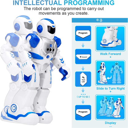 Rynx | RC Gesture Sensitive Toy, Interactive Walking Singing Dancing Robot