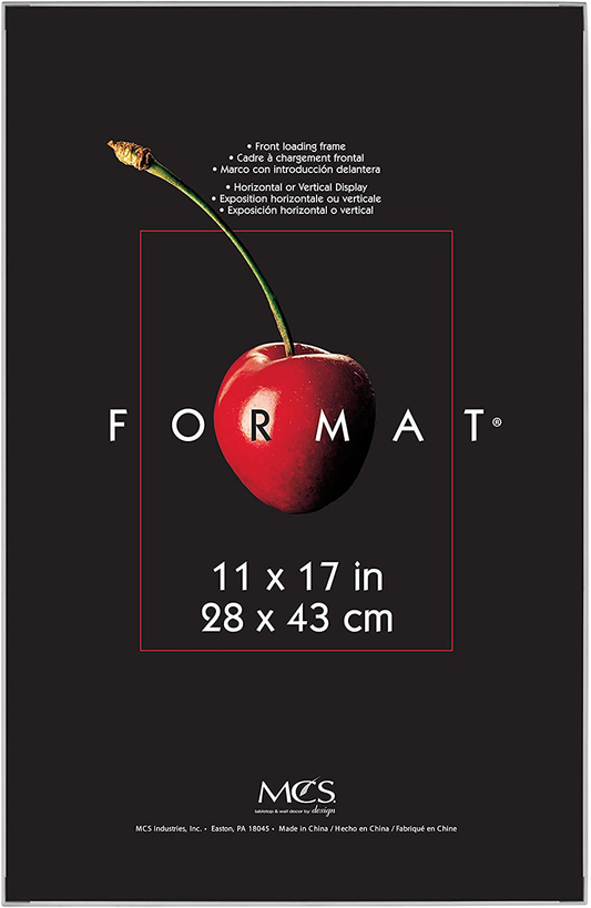 Rynx | Mcs 11x17 Inches Format, White Frames, 11 X 17