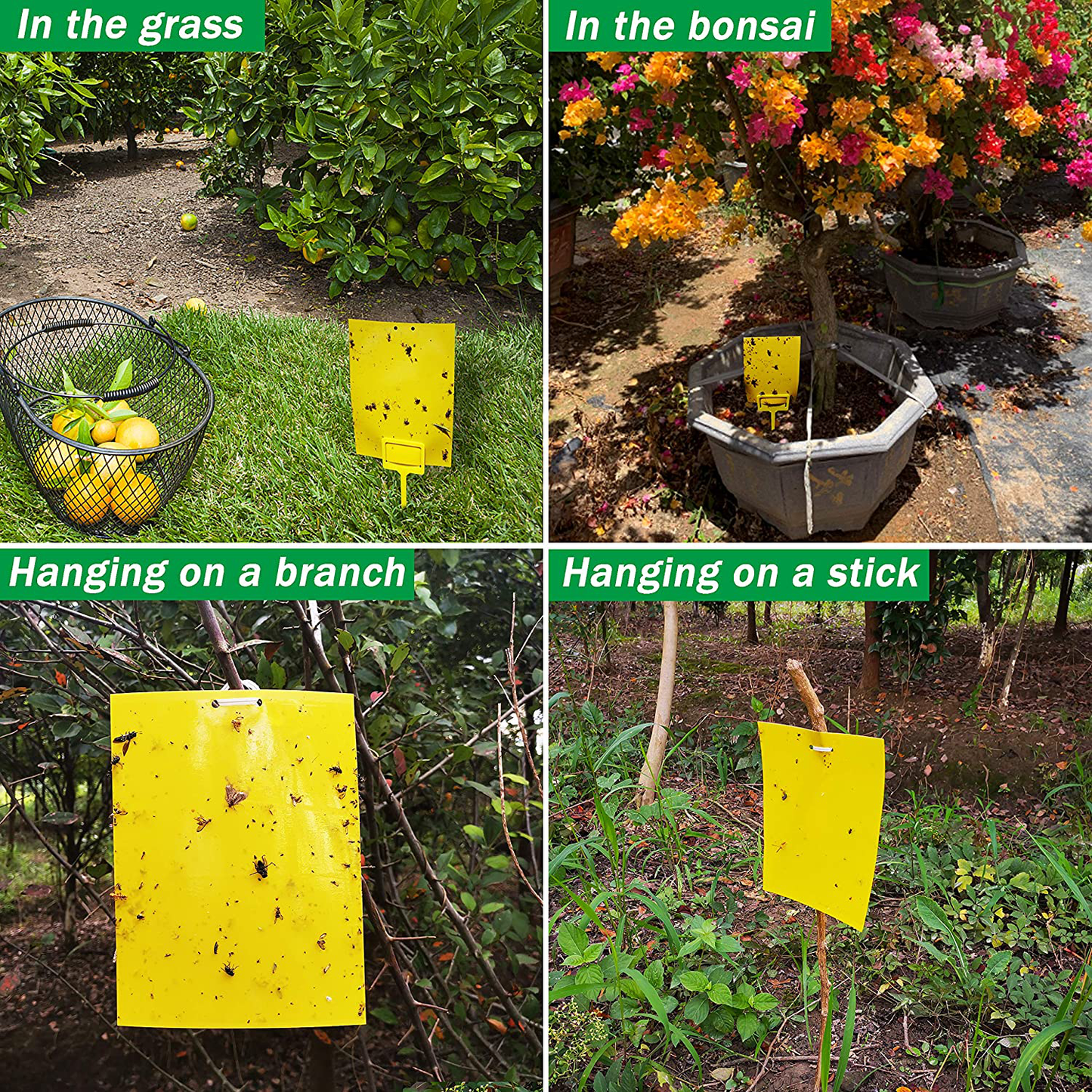 Rynx | 50 Sheets Yellow Sticky Traps, Fruit Fly Traps, for Indoor and Outdoor, Includes Twisted Tovar and Plastic Holders
