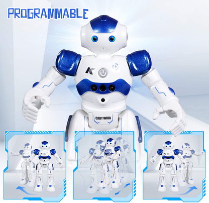 Rynx | Gesture Sensing Remote Control Robot for Kids
