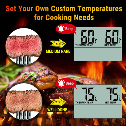 Rynx | ThermoPro TP-16 Large LCD Digital Cooking Mat Meat Smoker Kitchen BBQ Grill Thermometer Clock Timer with Stainless Steel Probe