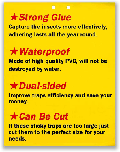 Rynx | 50 Sheets Yellow Sticky Traps, Fruit Fly Traps, for Indoor and Outdoor, Includes Twisted Tovar and Plastic Holders
