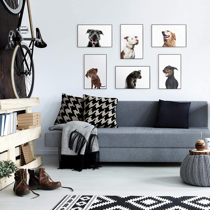 Rynx | Mcs 11x17 Inches Format, White Frames, 11 X 17