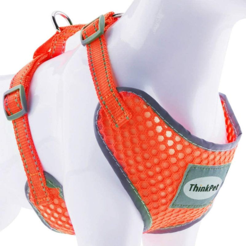 Rynx | Reflective Breathable Soft Air Mesh No Pull Harness For Cats And Dogs