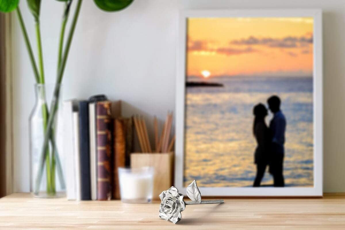 Rynx | BESZONE Tin Rose 10th for Her - Gifts made of tin for 10th wedding anniversary, Solid 100% pure cast tin eternal rose aluminum gift for wife tenth tin