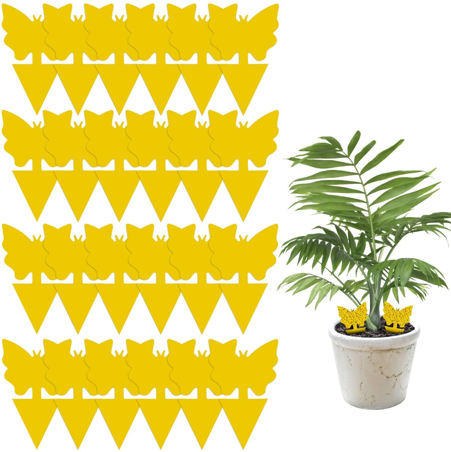 Rynx | 24 Pack Sticky Fruit Fly and Fungus Gnat Trap Yellow Sticky Bug Insect Killer for Indoor and Outdoor Houseplants