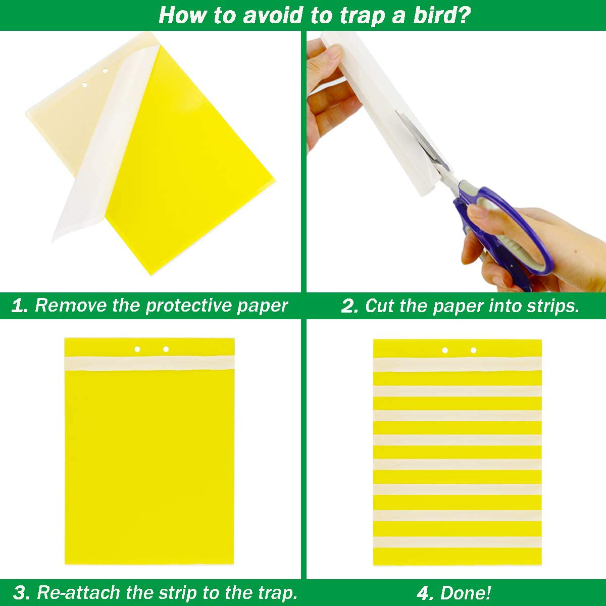 Rynx | 50 Sheets Yellow Sticky Traps, Fruit Fly Traps, for Indoor and Outdoor, Includes Twisted Tovar and Plastic Holders