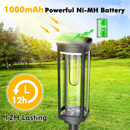 Rynx | Coxseni Solar Path Light 6 Pack, Waterproof Warm White Solar Landscape Light For Garden