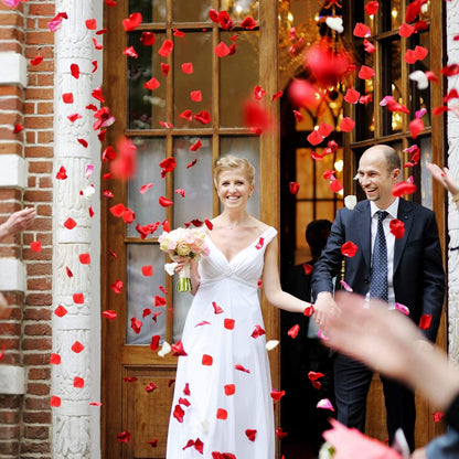 Rynx | Romantic Elegance Silk Rose Petals Collection: 1000 Luxurious Red Petals for Memorable Celebrations