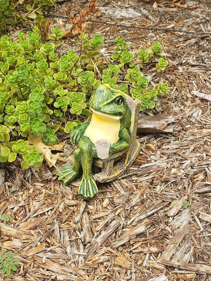 Rynx | FroGlow LED Garden Frog Lamp | Solar Powered | Weatherproof | Decorative Garden Lighting