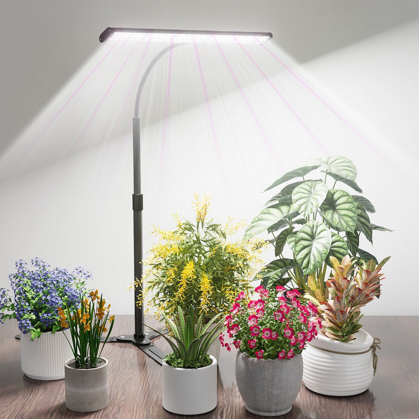 Rynx | Grow light for indoor plants, super light 6000K 108Leds full spectrum plant lamp with timer 4/8/12 hours & height adjustable for home office desk plants, 12V 3A high power output for faster growth